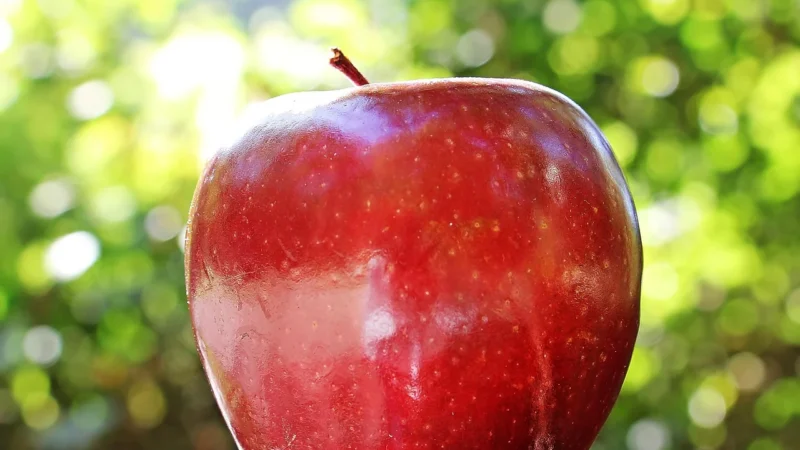 APP APPLE TV