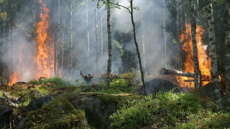 Lenovo Accidental Damage Protection One – Accidental damage coverage – 5 years – for ThinkPad P1 Gen 4, P14s Gen 2, P15