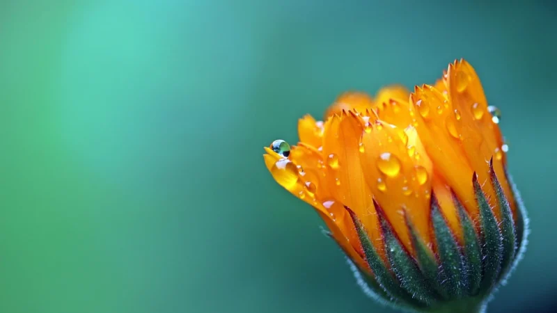 (Silver) Single bluetooth Wireless 3D Stereo Earphone IPX6 Waterproof Sports Headphones with 300mAh Charging Box for Android ios
