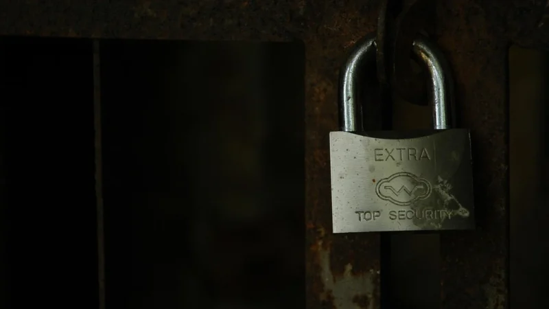 Singlepack Black 35 Padlock C13T35814010
